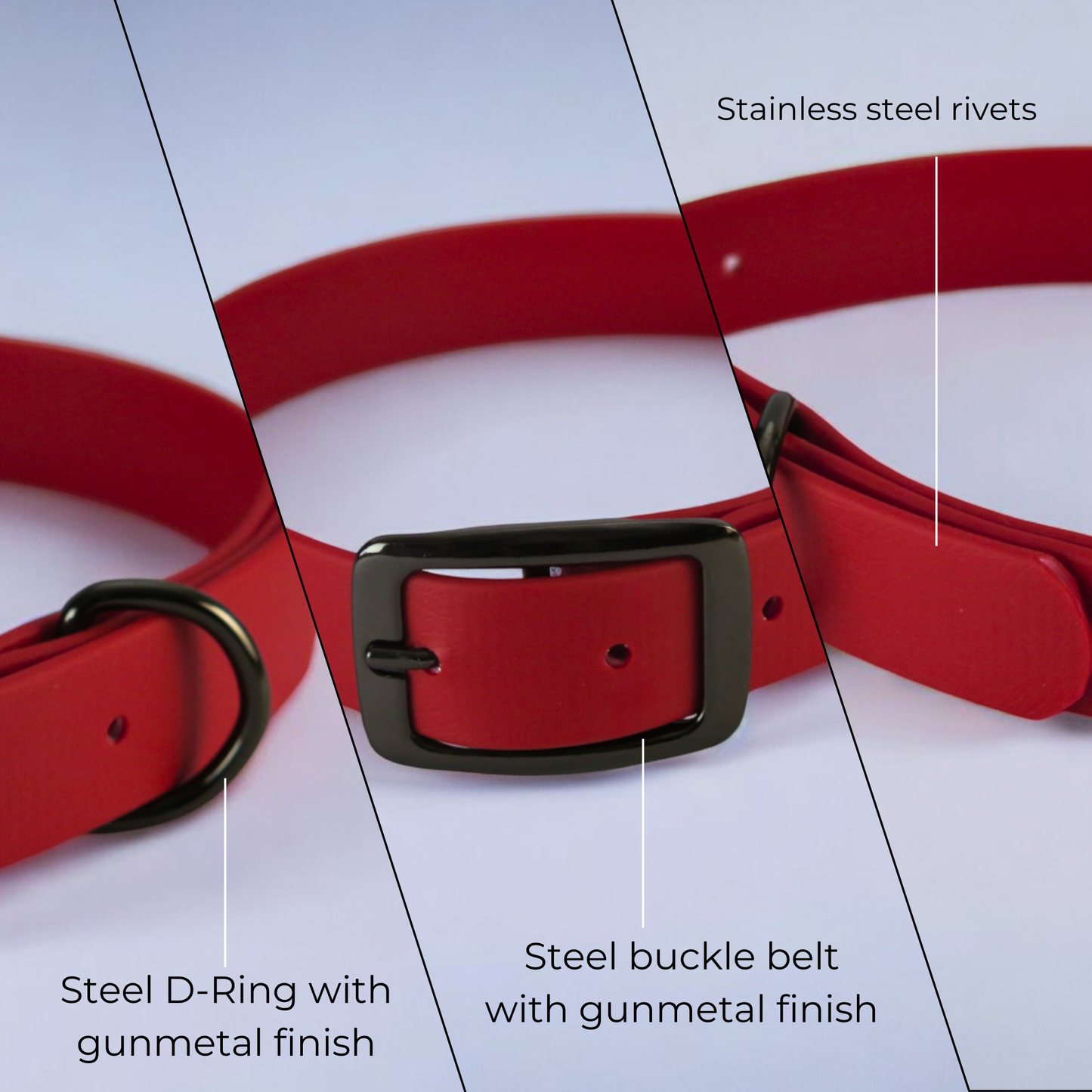 Collari in Biothane® con fibbia - Rosso