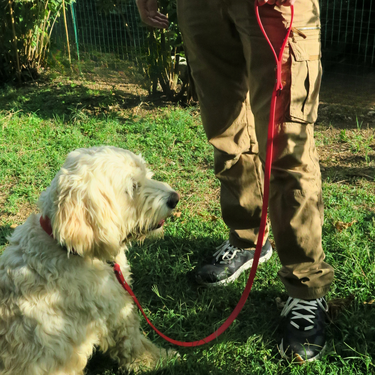 Guinzaglio a sgancio rapido in Biothane® - Rosso