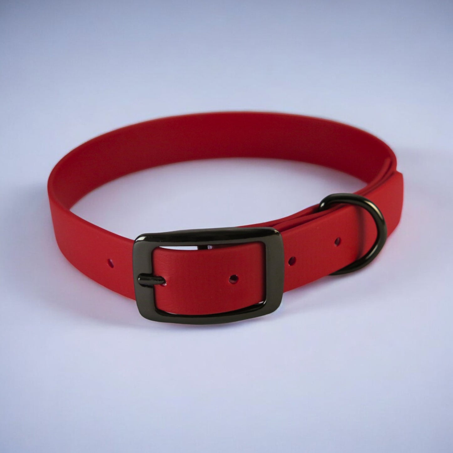 Collari in Biothane® con fibbia - Rosso